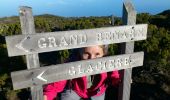 Randonnée Marche Saint-Paul - La Réunion - Boucle du Grand Bénard par le Maïdo. - Photo 1