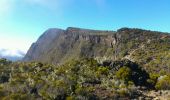 Randonnée Marche Saint-Paul - La Réunion - Boucle du Grand Bénard par le Maïdo. - Photo 20