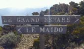 Trail Walking Saint-Paul - La Réunion - Boucle du Grand Bénard par le Maïdo. - Photo 17