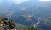 Randonnée Marche Saint-Paul - La Réunion - Boucle du Grand Bénard par le Maïdo. - Photo 14