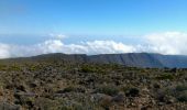 Randonnée Marche Saint-Paul - La Réunion - Boucle du Grand Bénard par le Maïdo. - Photo 9