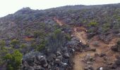 Trail Walking Saint-Paul - La Réunion - Boucle du Grand Bénard par le Maïdo. - Photo 6