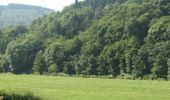 Randonnée Marche Burg-Reuland - Ouren - Natura 2000, des sites qui valent le détour, Lg16 - Photo 9