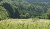 Trail Walking Burg-Reuland - Ouren - Natura 2000, des sites qui valent le détour, Lg16 - Photo 10