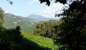 Tour Wandern Talasani - Tour de Pregnani Corse - Photo 4