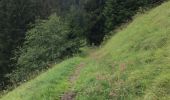 Trail Walking Megève - la mottaz le villaret - Photo 6