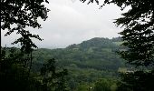 Tour Wandern Diedenhofen - boucle forêt Thionville - Photo 4