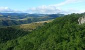 Tour Wandern Lachapelle-sous-Chanéac - la chapelle sous chaneac - le mezenc - Photo 5