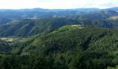 Tour Wandern Lachapelle-sous-Chanéac - la chapelle sous chaneac - le mezenc - Photo 8