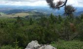 Tour Wandern Lachapelle-sous-Chanéac - la chapelle sous chaneac - le mezenc - Photo 4