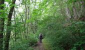 Trail Walking Couvin - Balade au fil des Vallées Couvinoise - Photo 1