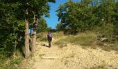 Trail Walking Aiglun - vieil aiglun - Photo 9