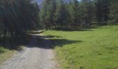 Trail Walking Ceillac - lac et col de Clausis - Photo 1
