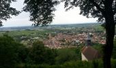 Randonnée Marche Arbois - reculée des planches - Photo 4