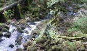 Tour Wandern Arbois - reculée des planches - Photo 10