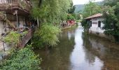 Tour Wandern Arbois - reculée des planches - Photo 6