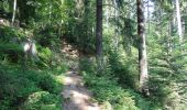 Tour Wandern Dagsburg - Balade au Col de la Schleif - Photo 5