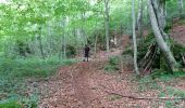 Trail Walking Fontanges - En val d aspre cantal - Photo 2