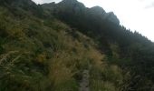 Trail Walking Le Castellard-Mélan - Crête et sommet de Géruen - Photo 13