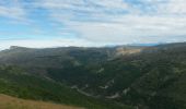 Randonnée Marche Le Castellard-Mélan - Crête et sommet de Géruen - Photo 11