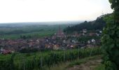 Trail Walking Kintzheim -  Rando de Kintzheim vers le château Haut Koenigsbourg - Photo 1