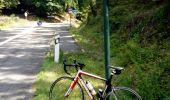 Tour Fahrrad Lembach - Les Monuments Napoléoniens - Boucle B - Photo 3