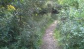 Trail Walking Nassogne - Nassogne 27 juillet 2014 - Photo 7