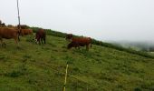 Trail Walking Bourg-Saint-Maurice - Le tour du golf - Photo 2