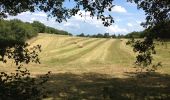 Randonnée Marche Beauregard - Beauregard - Château de Marsa - Photo 2