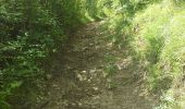 Trail Walking Comblain-au-Pont - Poulseur 3-8-2014 - Photo 10