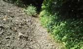 Trail Walking Comblain-au-Pont - Poulseur 3-8-2014 - Photo 7