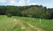 Tocht Stappen Comblain-au-Pont - Poulseur 3-8-2014 - Photo 4