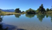 Excursión Senderismo Saint-Apollinaire - lac St appolinaire  - Photo 1