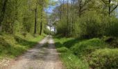 Trail Walking Hastière - Hastiere - Photo 17