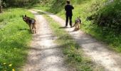 Trail Walking Hastière - Hastiere - Photo 15
