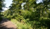 Trail Walking Froidchapelle - Froidchapelle, Circuit Natura 2000 - des sites qui valent le détour - Ht 2 - Photo 2