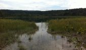 Randonnée V.T.T. Thoiria - Thoiria - Petit lac de Clairvaux - Photo 1