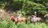 Tocht Paard Bouillon - Frahan ferme pour enfants vers Le Jockey Anloy - Photo 1