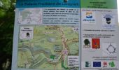 Excursión Senderismo Chimay - Bois de Blaimont - Circuit Natura 2000, des sites qui valent le détour - Ht3 - Photo 2