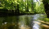 Tocht Stappen Chimay - Bois de Blaimont - Circuit Natura 2000, des sites qui valent le détour - Ht3 - Photo 1