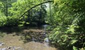 Tocht Stappen Chimay - Bois de Blaimont - Circuit Natura 2000, des sites qui valent le détour - Ht3 - Photo 9