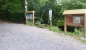 Trail Walking Chimay - Bois de Blaimont - Circuit Natura 2000, des sites qui valent le détour - Ht3 - Photo 3