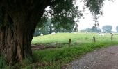 Tour Fahrrad Ronse - Mont De L'Enclus - Renaix - Photo 2