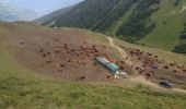 Tocht Stappen La Plagne-Tarentaise - BP: Le Martinet - Aime (HST-P) - Photo 11