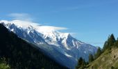 Tour Mountainbike Chamonix-Mont-Blanc - posettes - Photo 5