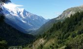 Tour Mountainbike Chamonix-Mont-Blanc - posettes - Photo 4