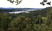 Excursión Bici de montaña Thoiria - Tour du lac de Clairvaux - Photo 1