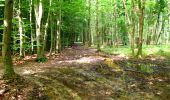 Tour Wandern Longpont - en forêt de Retz_26_Longpont_Ermitage Saint Hubert_Malva_AR - Photo 2