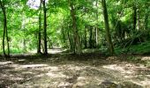 Trail Walking Longpont - en forêt de Retz_26_Longpont_Ermitage Saint Hubert_Malva_AR - Photo 15