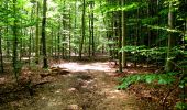 Trail Walking Longpont - en forêt de Retz_26_Longpont_Ermitage Saint Hubert_Malva_AR - Photo 1